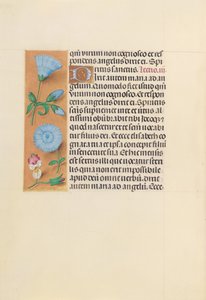 Ore di Isabella la Cattolica, regina di Spagna: Fol. 163v da Master of the First Prayerbook of Maximillian