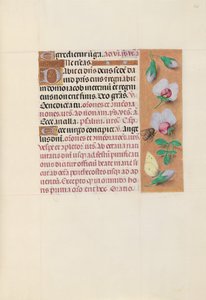Ore di Isabella la Cattolica, Regina di Spagna: Fol. 165r, c. 1500 da Master of the First Prayerbook of Maximillian