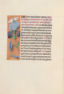 Ore di Isabella la Cattolica, Regina di Spagna: Fol. 165v da Master of the First Prayerbook of Maximillian