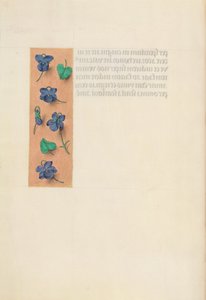 Ore di Isabella la Cattolica, Regina di Spagna: Fol. 16v, Bordo Corto, c. 1500 da Master of the First Prayerbook of Maximillian