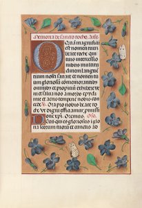 Ore di Isabella la Cattolica, Regina di Spagna: Fol. 182r da Master of the First Prayerbook of Maximillian