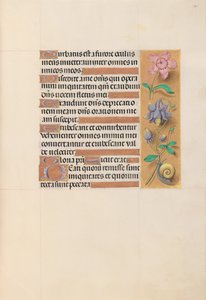 Ore della Regina Isabella la Cattolica, Regina di Spagna: Fol. 201r da Master of the First Prayerbook of Maximillian