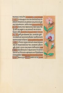 Ore di Isabella la Cattolica, regina di Spagna: Fol. 208r, c. 1500 da Master of the First Prayerbook of Maximillian