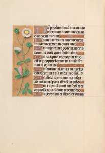 Ore di Isabella la Cattolica, Regina di Spagna: Fol. 208v da Master of the First Prayerbook of Maximillian