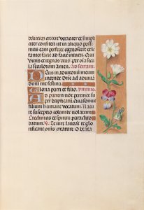 Ore di Isabella la Cattolica, Regina di Spagna: Fol. 20r, c. 1500 da Master of the First Prayerbook of Maximillian