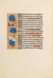 Ore di Isabella la Cattolica, Regina di Spagna: Fol. 213v, c. 1500