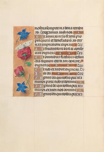 Ore della regina Isabella la Cattolica, regina di Spagna: Fol. 214v, c. 1500 da Master of the First Prayerbook of Maximillian