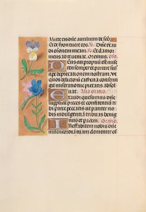 Ore di Isabella la Cattolica, Regina di Spagna: Fol. 216v, c. 1500 da Master of the First Prayerbook of Maximillian