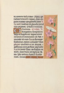 Ore di Isabella la Cattolica, Regina di Spagna: Fol. 21r, c. 1500 da Master of the First Prayerbook of Maximillian