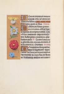 Ore della regina Isabella la Cattolica, regina di Spagna: Fol. 21v, c. 1500 da Master of the First Prayerbook of Maximillian