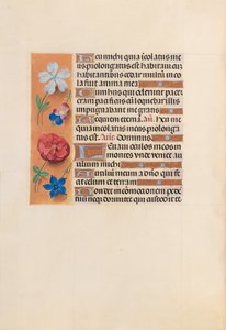 Ore della Regina Isabella la Cattolica, Regina di Spagna: Fol. 221v, c. 1500