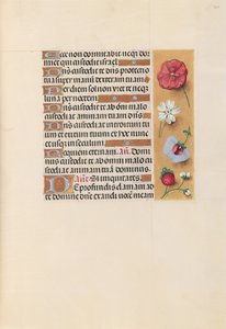 Ore della Regina Isabella la Cattolica, Regina di Spagna: Fol. 222r, c. 1500 da Master of the First Prayerbook of Maximillian