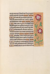 Ore di Isabella la Cattolica, regina di Spagna: Fol. 229r, c. 1500