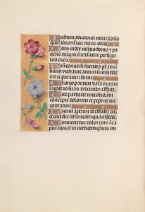 Ore di Isabella la Cattolica, Regina di Spagna: Fol. 230v, c. 1500 da Master of the First Prayerbook of Maximillian