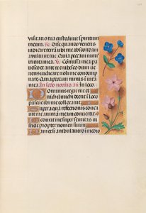 Ore della regina Isabella la Cattolica, regina di Spagna:  Fol. 233r da Master of the First Prayerbook of Maximillian