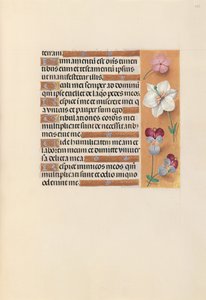 Ore della regina Isabella la Cattolica, regina di Spagna: Fol. 235r, c. 1500