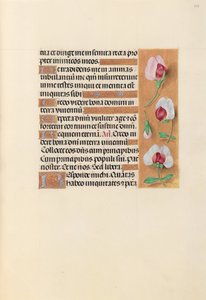 Ore di Isabella la Cattolica, Regina di Spagna: Fol. 237r, c. 1500 da Master of the First Prayerbook of Maximillian