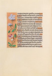 Ore di Isabella la Cattolica, Regina di Spagna: Fol. 239v, c. 1500 da Master of the First Prayerbook of Maximillian