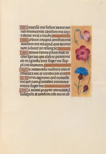 Ore di Isabella la Cattolica, regina di Spagna: Fol. 242r da Master of the First Prayerbook of Maximillian