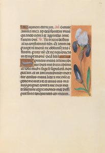 Ore della regina Isabella la Cattolica, regina di Spagna: Fol. 244r, c. 1500