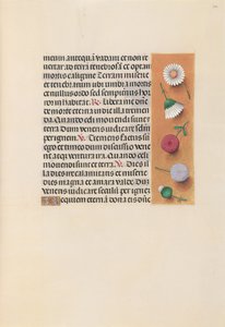 Ore di Isabella la Cattolica, Regina di Spagna: Fol. 245r, c. 1500