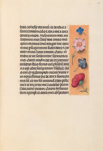 Ore della regina Isabella la Cattolica, regina di Spagna: Fol. 245r, c. 1500 da Master of the First Prayerbook of Maximillian