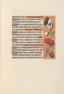 Ore della regina Isabella la Cattolica, regina di Spagna:  Fol. 249r da Master of the First Prayerbook of Maximillian