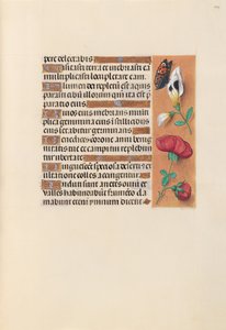 Ore di Isabella la Cattolica, Regina di Spagna: Fol. 249r, c. 1500 da Master of the First Prayerbook of Maximillian