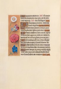 Ore di Isabella la Cattolica, Regina di Spagna: Fol. 249v, c. 1500
