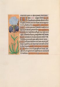 Ore della Regina Isabella la Cattolica, Regina di Spagna: Fol. 254v da Master of the First Prayerbook of Maximillian