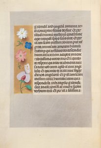 Ore di Isabella la Cattolica, Regina di Spagna: Fol. 258v da Master of the First Prayerbook of Maximillian