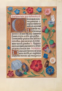 Ore della Regina Isabella la Cattolica, Regina di Spagna: Fol. 25r, c. 1500 da Master of the First Prayerbook of Maximillian