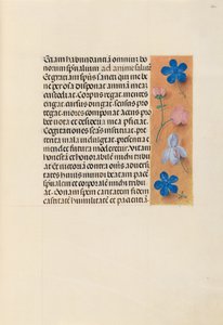 Ore di Isabella la Cattolica, Regina di Spagna: Fol. 260r, c. 1500 da Master of the First Prayerbook of Maximillian