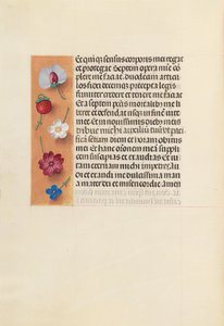 Ore di Isabella la Cattolica, regina di Spagna: Fol. 260v, Pietà, circa 1500 da Master of the First Prayerbook of Maximillian