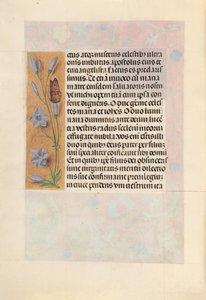 Ore della regina Isabella la Cattolica, regina di Spagna: Fol. 262v, c. 1500 da Master of the First Prayerbook of Maximillian