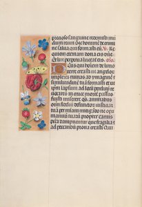 Ore di Isabella la Cattolica, Regina di Spagna: Fol. 29v, c. 1500 da Master of the First Prayerbook of Maximillian
