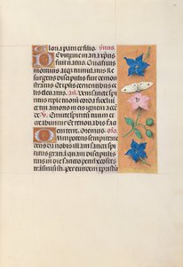 Ore di Isabella la Cattolica, regina di Spagna: Fol. 33r da Master of the First Prayerbook of Maximillian