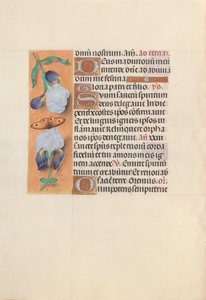 Ore di Isabella la Cattolica, Regina di Spagna: Fol. 33v da Master of the First Prayerbook of Maximillian