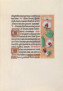 Ore della Regina Isabella la Cattolica, Regina di Spagna: Fol. 35r, c. 1500 da Master of the First Prayerbook of Maximillian