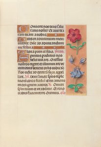 Ore di Isabella la Cattolica, regina di Spagna: Fol. 36r da Master of the First Prayerbook of Maximillian
