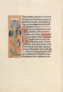 Ore della Regina Isabella la Cattolica, Regina di Spagna: Fol. 45v, c. 1500 da Master of the First Prayerbook of Maximillian
