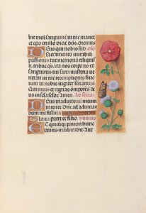 Ore di Isabella la Cattolica, regina di Spagna: Fol. 46r, c. 1500 da Master of the First Prayerbook of Maximillian