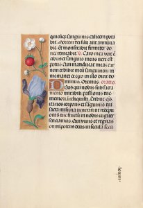 Ore di Isabella la Cattolica, Regina di Spagna: Fol. 46v, c. 1500