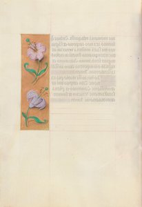 Ore di Isabella la Cattolica, Regina di Spagna: Fol. 49v, c. 1500