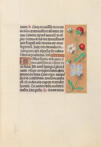 Ore di Isabella la Cattolica, Regina di Spagna: Fol. 55r, c. 1500 da Master of the First Prayerbook of Maximillian