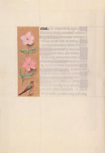 Ore di Isabella la Cattolica, regina di Spagna: Fol. 56v, c. 1500 da Master of the First Prayerbook of Maximillian