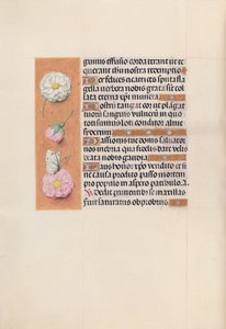 Ore di Isabella la Cattolica, Regina di Spagna: Fol. 58v, c. 1500 da Master of the First Prayerbook of Maximillian