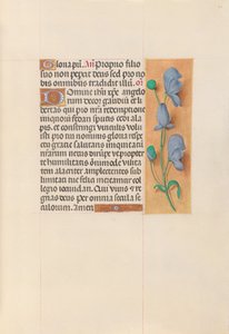Ore di Isabella la Cattolica, Regina di Spagna: Fol. 60r, c. 1500 da Master of the First Prayerbook of Maximillian