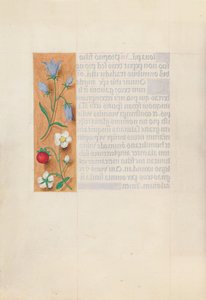 Ore della Regina Isabella la Cattolica, Regina di Spagna: Fol. 60v, c. 1500