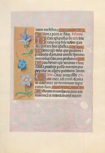Ore di Isabella la Cattolica, Regina di Spagna: Fol. 69v, c. 1500 da Master of the First Prayerbook of Maximillian
